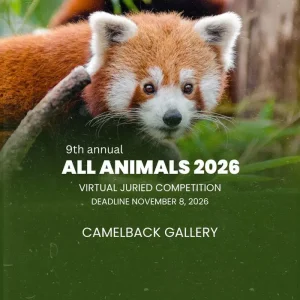 All animals por Camelback Gallery