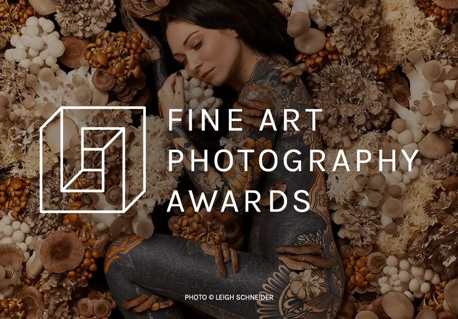 12th Fine Art Photography Awards 2025