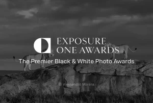 Exposure One Awards – Nature Photography Contest 2025