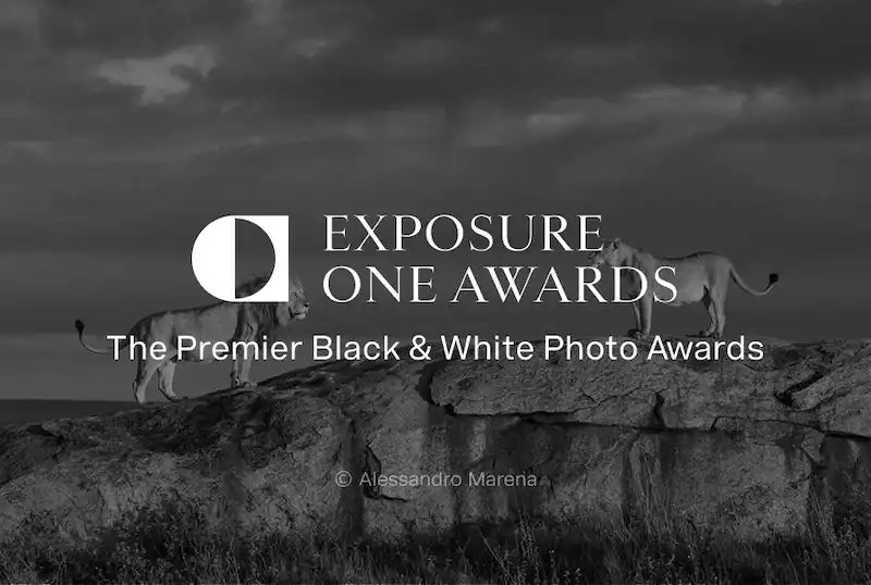 Exposure One Awards – Nature Photography Contest 2025