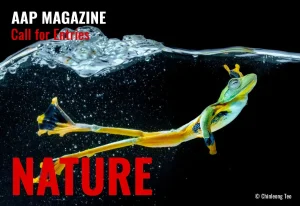 AAP Magazine Nature
