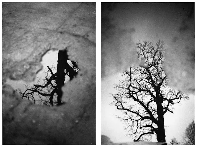 Diptych ~ Open Theme por Praxis Gallery 2026