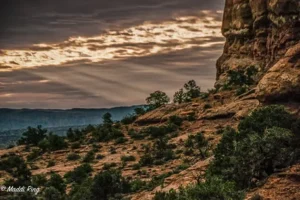 Luminosity – The Impact of Light