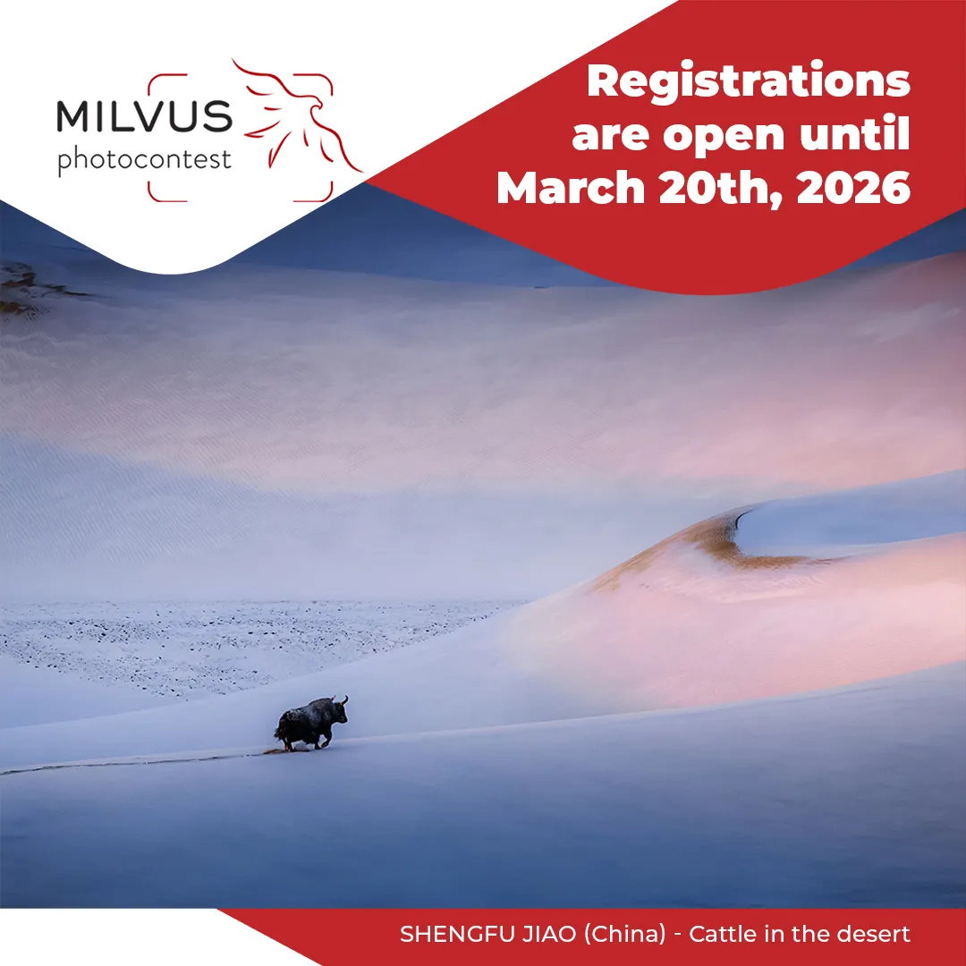Milvus Photocontest 2026