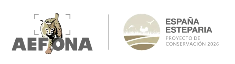 AEFONA Photography Contest 2026