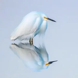 Animal Life por Praxis Gallery 2026