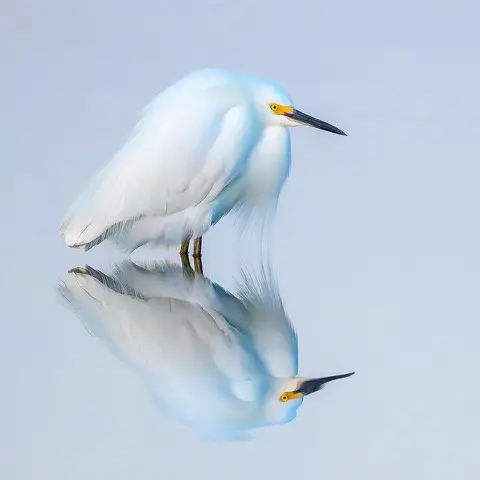 Animal Life por Praxis Gallery 2026