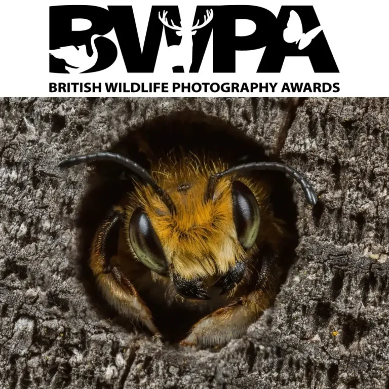 British Wildlife Photography Awards 2027 (BWPA 2027)