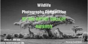 Wildlife Photography Contest por The Artist Gallery 2026