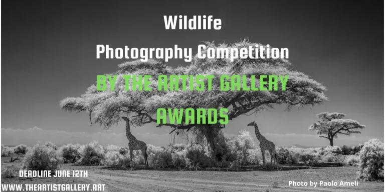 Wildlife Photography Contest por The Artist Gallery 2026