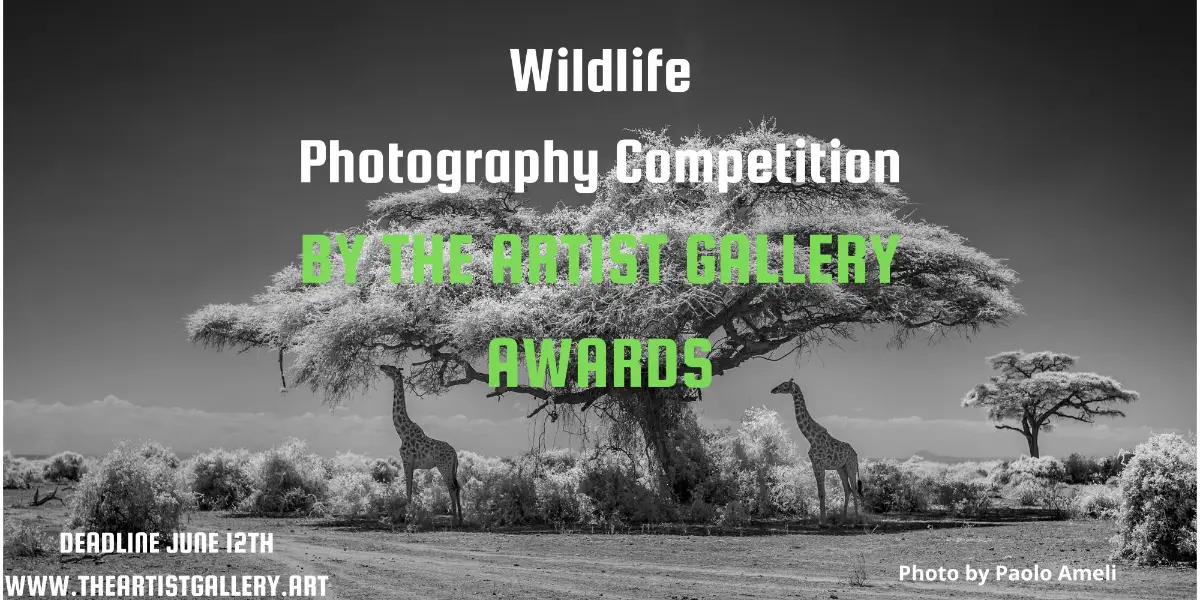 Wildlife Photography Contest por The Artist Gallery 2026