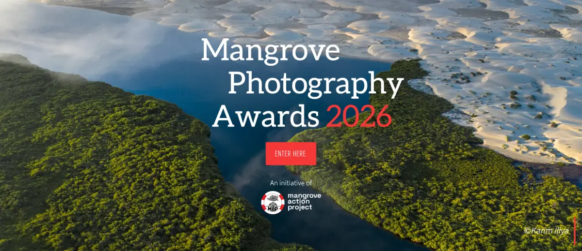 Mangrove Photography Awards