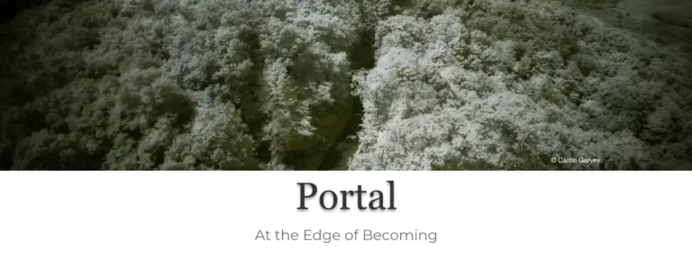 Portal por Decagon Gallery