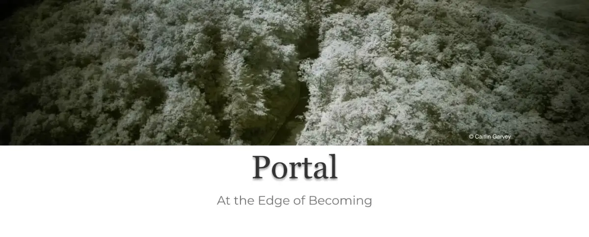Portal por Decagon Gallery