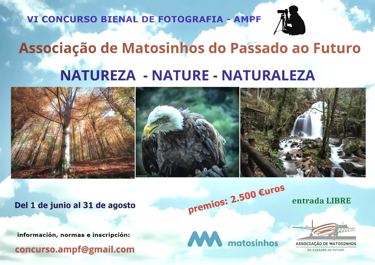 6ª Bienal de Fotografía AMPF