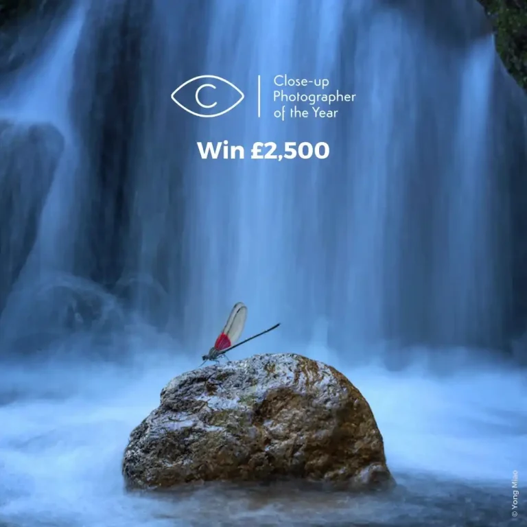Close-up Photographer of the Year 2026 (CUPOTY 8)