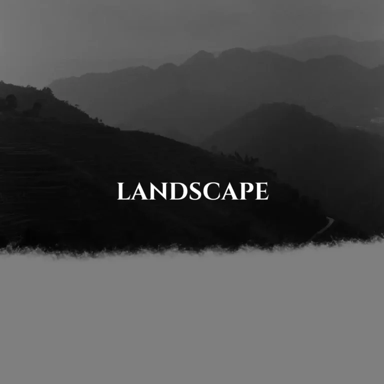 Landscape Photography por Carlotta Gallery
