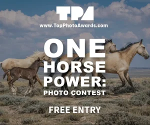One Horse Power: Photo Contest 2026