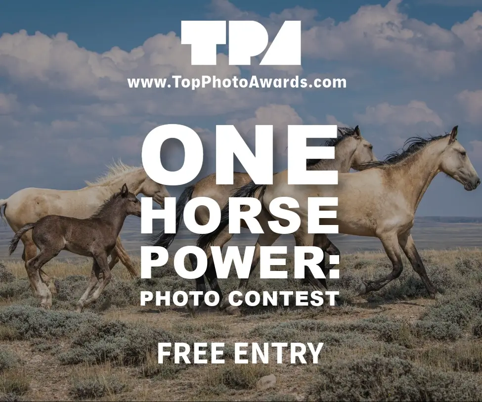 One Horse Power: Photo Contest 2026