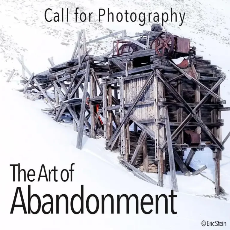 The Art of Abandonment por The Chateau Gallery