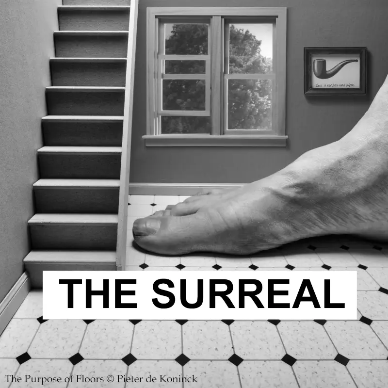 The Surreal por The Chateau Gallery