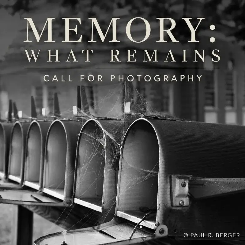 Memory: What Remains por The Chateau Gallery