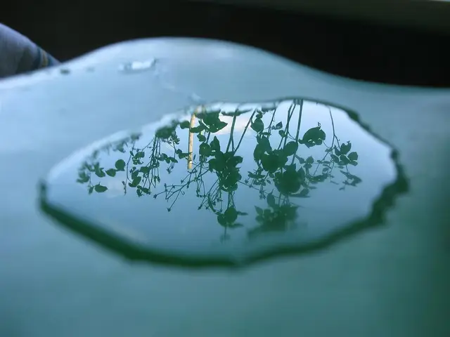 Water & Sky por Praxis Gallery