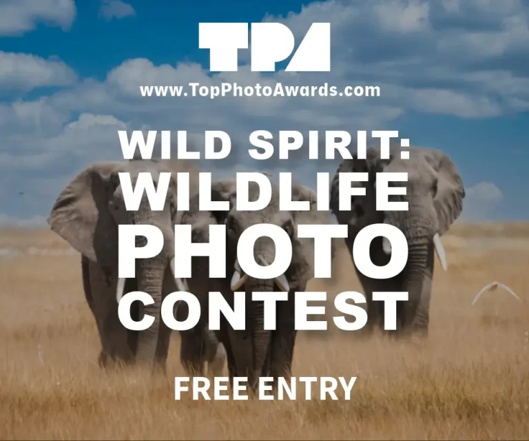 Wild Spirits: Wildlife Photography Contest