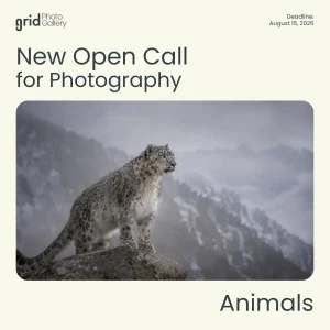 Animals 2026 Open Call por Grid Photo Gallery