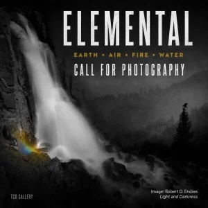 Elemental: Earth, Air, Fire, Water por The Chateau Gallery