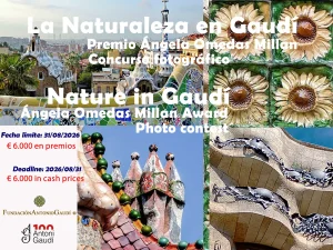 Nature in Gaudí. Ángeles Omedas Millan Prize 2026
