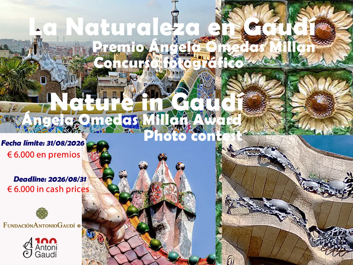 Nature in Gaudí. Ángeles Omedas Millan Prize 2026