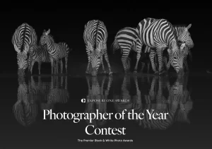 Exposure One Awards Photographer of the Year 2026