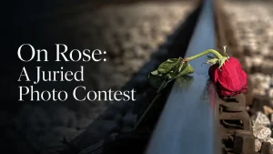 On Rose: Photo Contest