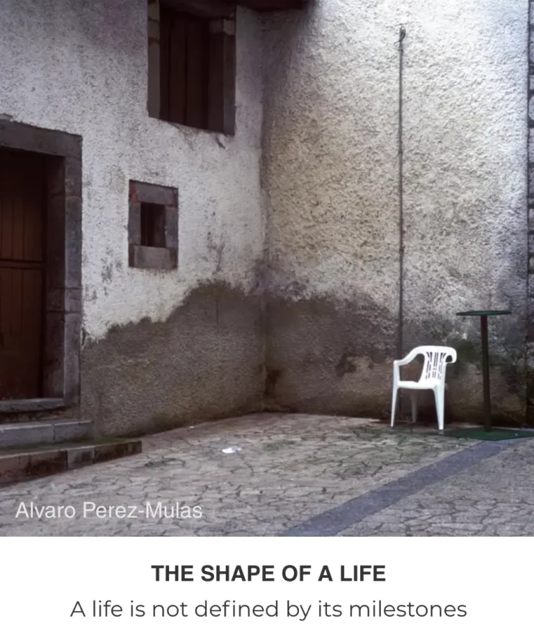 The Shape of a Life por Decagon Gallery