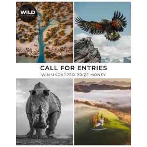 WILD Photo Awards