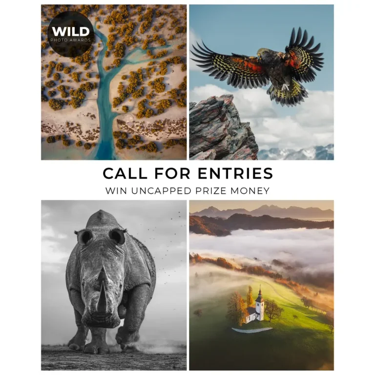 WILD Photo Awards