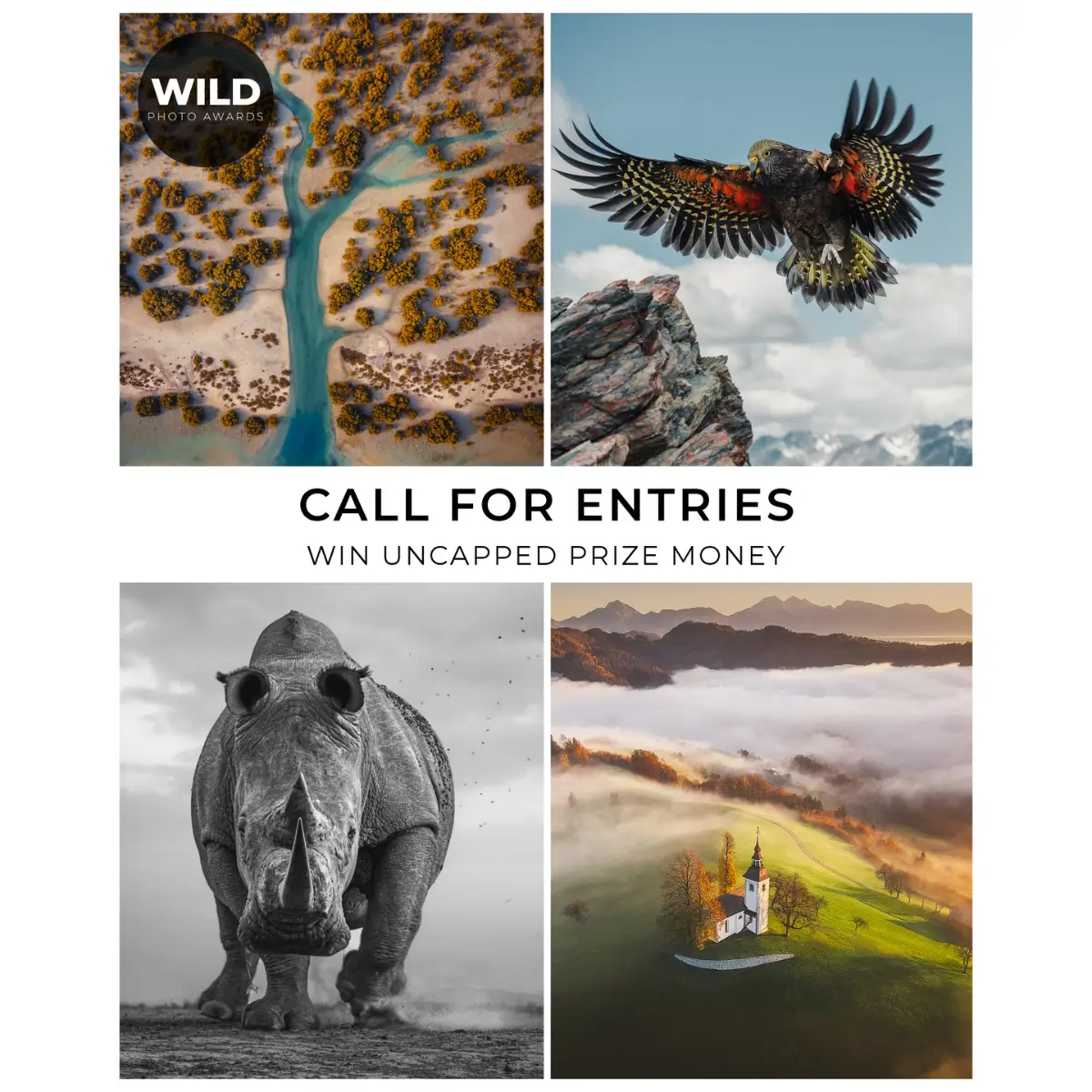 WILD Photo Awards