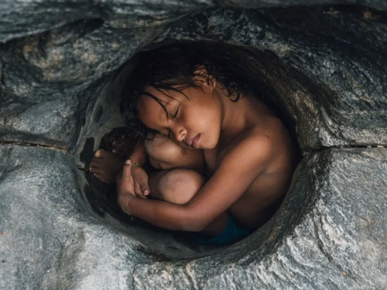 Vital Impacts Environmental Photography Fellowships y Mentorships