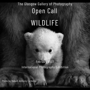 Wildlife por The Glasgow Gallery of Photography