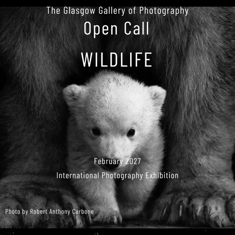 Wildlife por The Glasgow Gallery of Photography