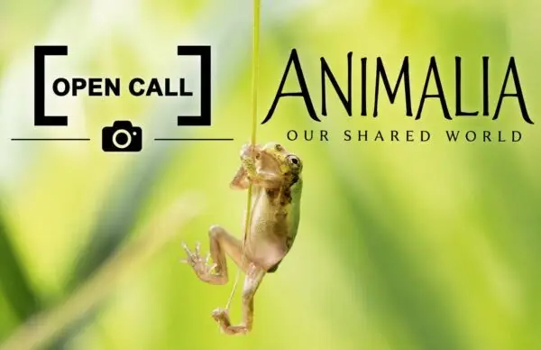 Animalia: Our Shared World