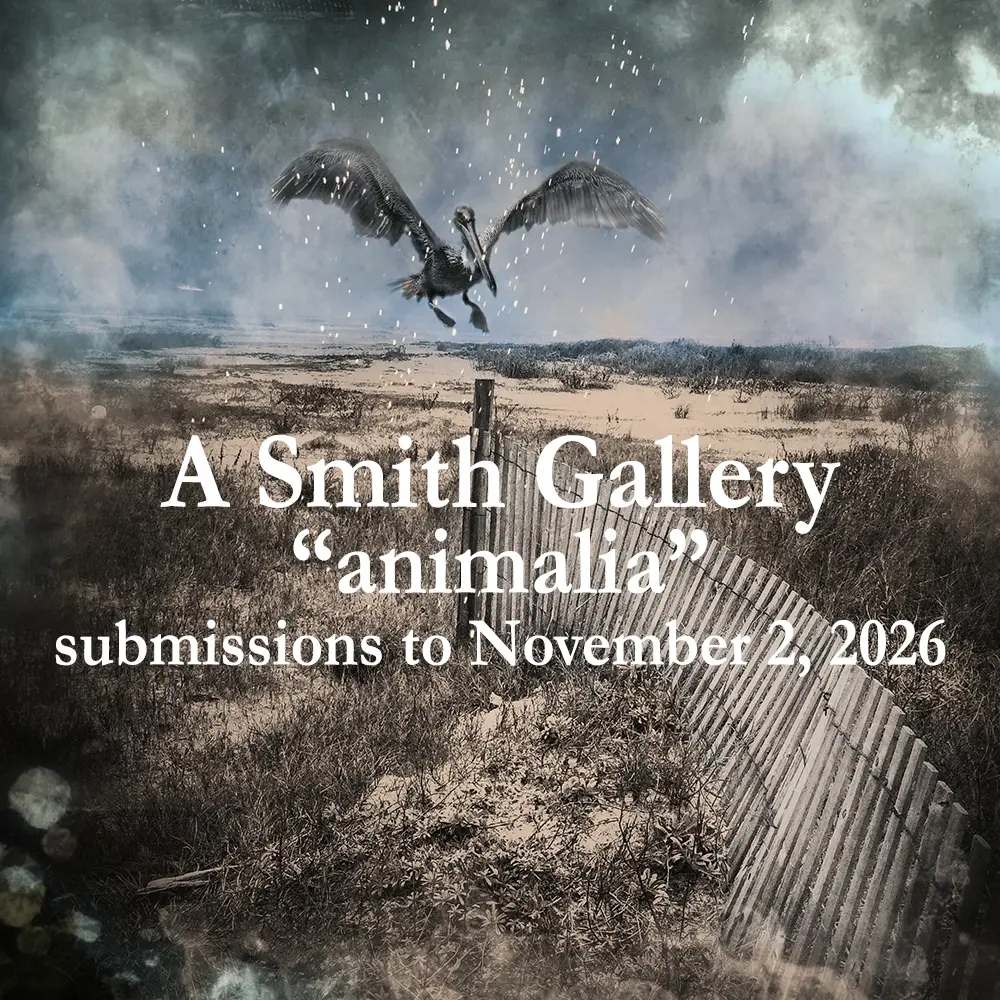 Animalia por A Smith Gallery