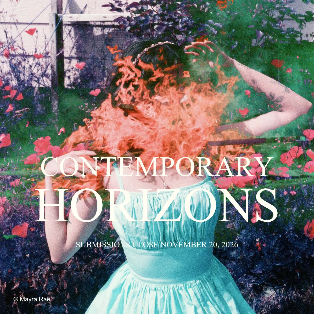 Contemporary Horizons por TCG Gallery