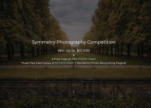 Symmetry Photography Competition por The Motif Collective